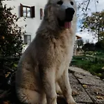 Casale Del Tempo Lento Narni