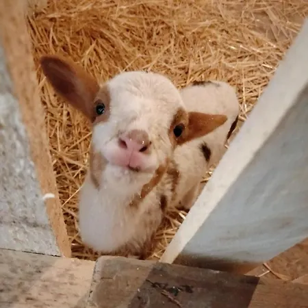 Casale Del Tempo Lento 3*