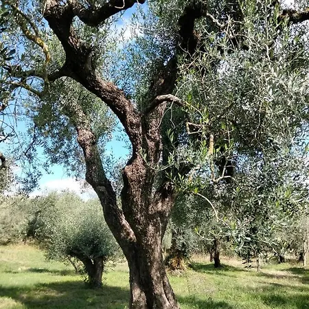 Casale Del Tempo Lento 3*