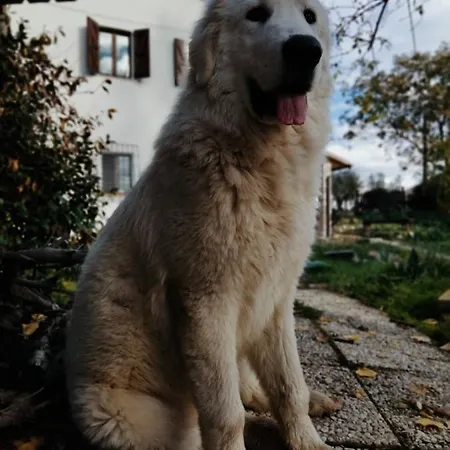 Casale Del Tempo Lento Narni