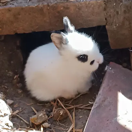 Casale Del Tempo Lento Frühstückspension
