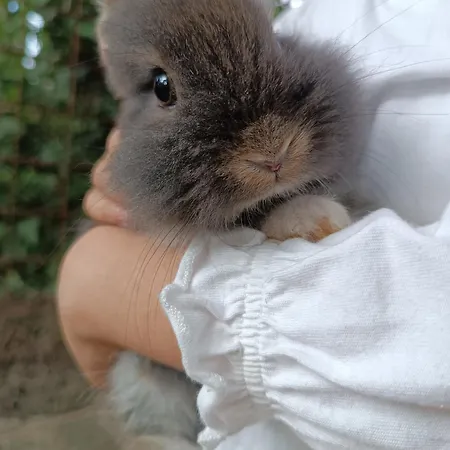 Frühstückspension Casale Del Tempo Lento 3*