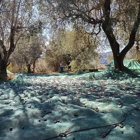 Casale Del Tempo Lento