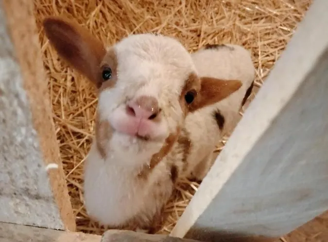 Casale Del Tempo Lento 3*