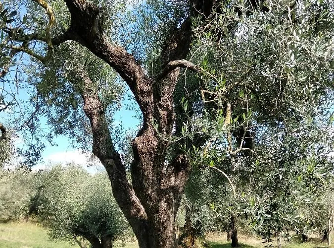 Casale Del Tempo Lento 3*