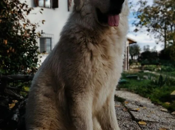 Casale Del Tempo Lento Narni