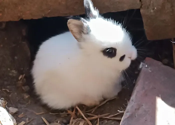 Casale Del Tempo Lento Bed & Breakfast