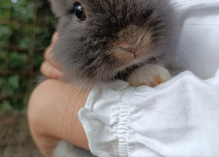 Bed & Breakfast Casale Del Tempo Lento 3*