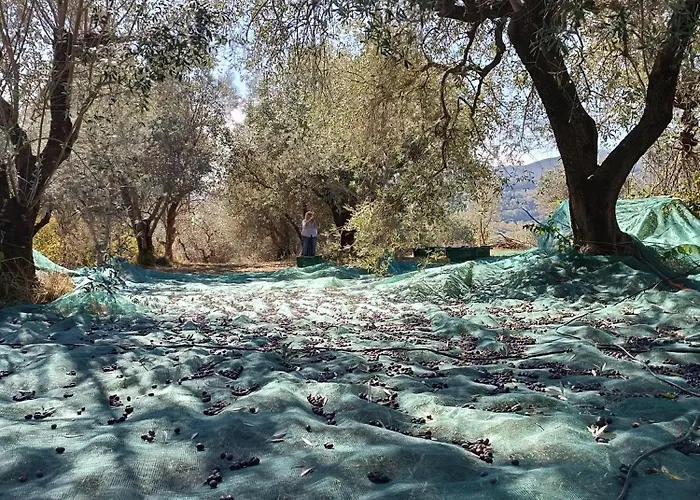 Casale Del Tempo Lento